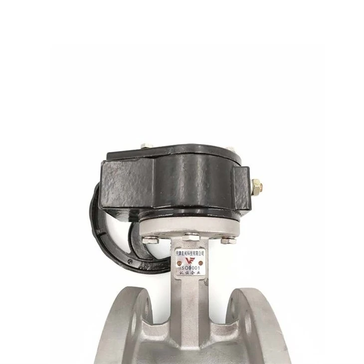 Turbine Flange Stainless Steel PTFE Butterfly Valve